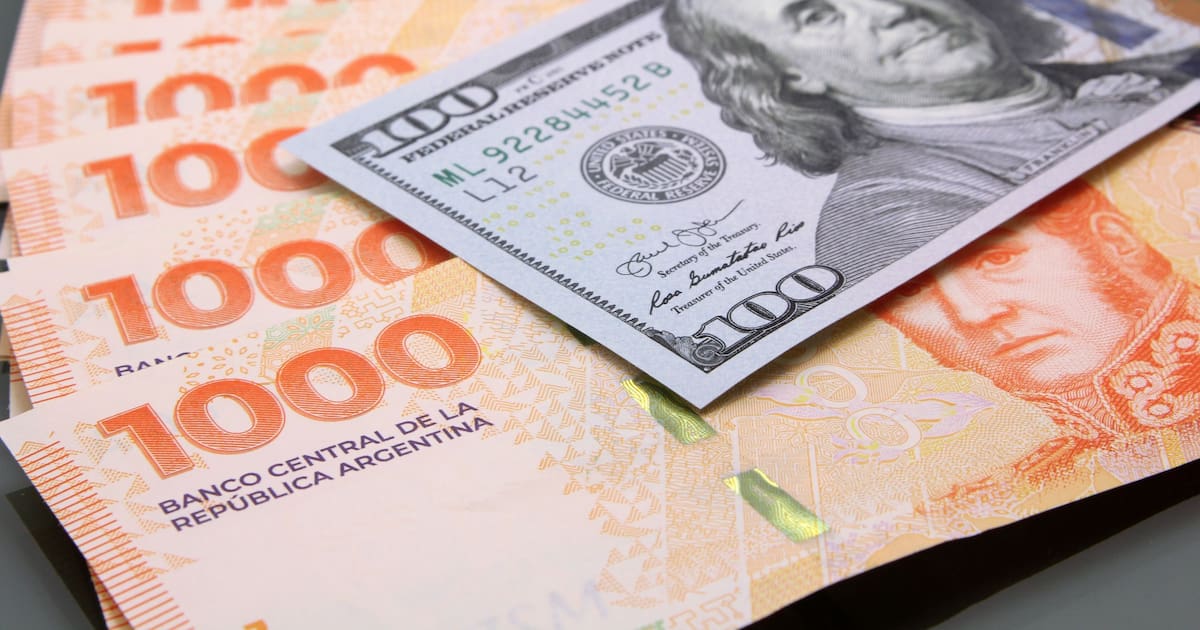 Bimonetarismo: qué implica la libre circulación de pesos y dólares para el ahorro