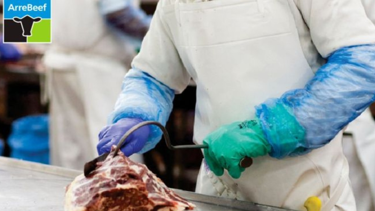 Cloranfenicol en un envío: qué se sabe y qué falta aclarar