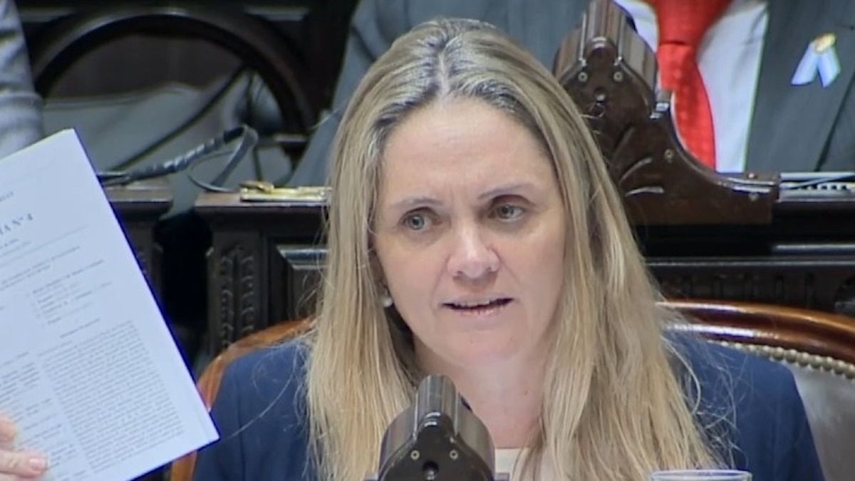 Diputada admitió usar pasajes oficiales para viajes de su hijo