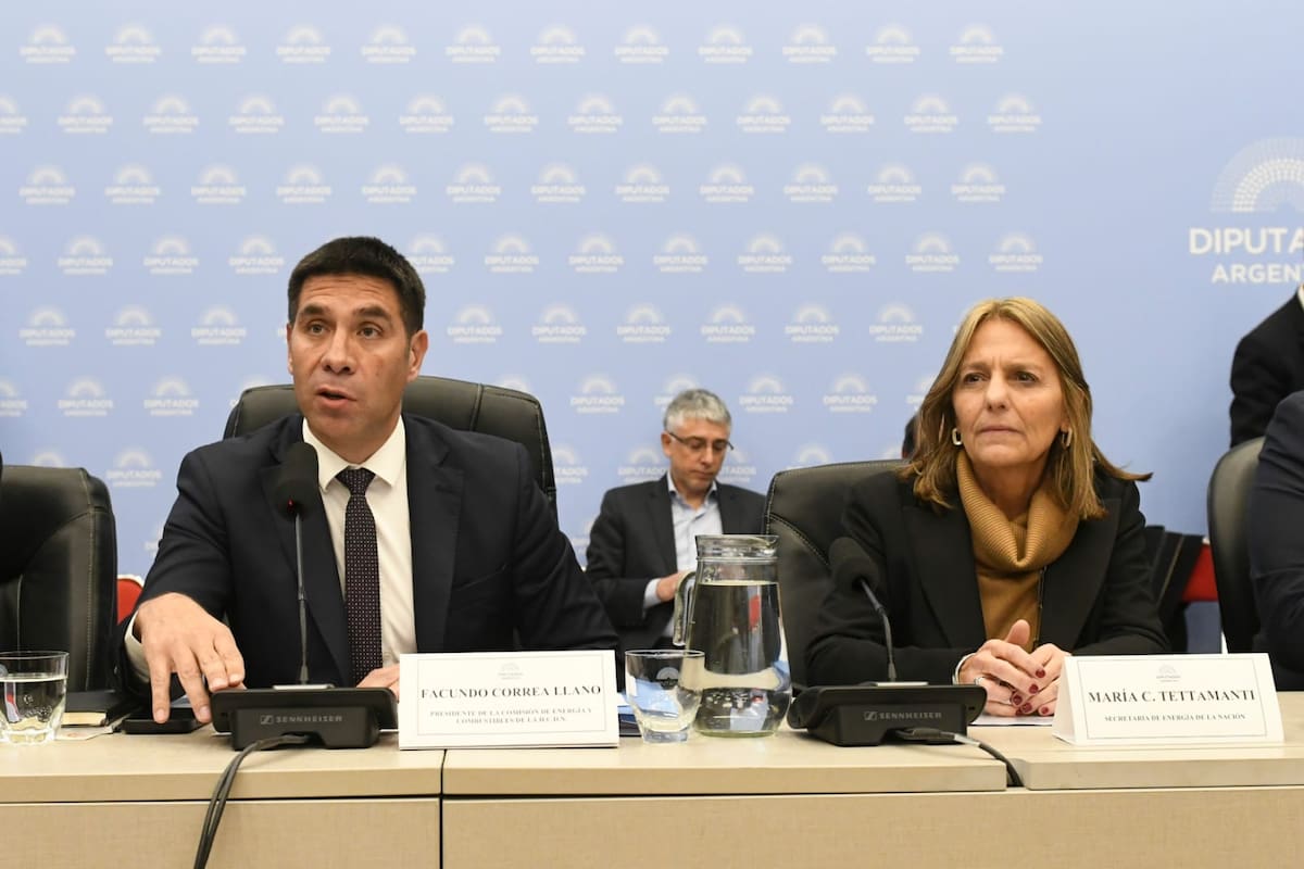 Diputados dictaminó reforma de zonas frías que recorta subsidios al gas