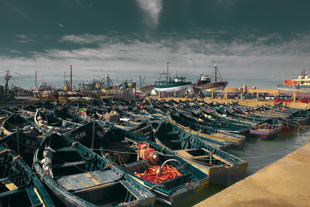morocco, essaouira, coast, boats in the port, atlantic, fishing boats, fishing, fishing port, morocco, morocco, morocco, morocco, essaouira, essaouira, essaouira, essaouira, essaouira
