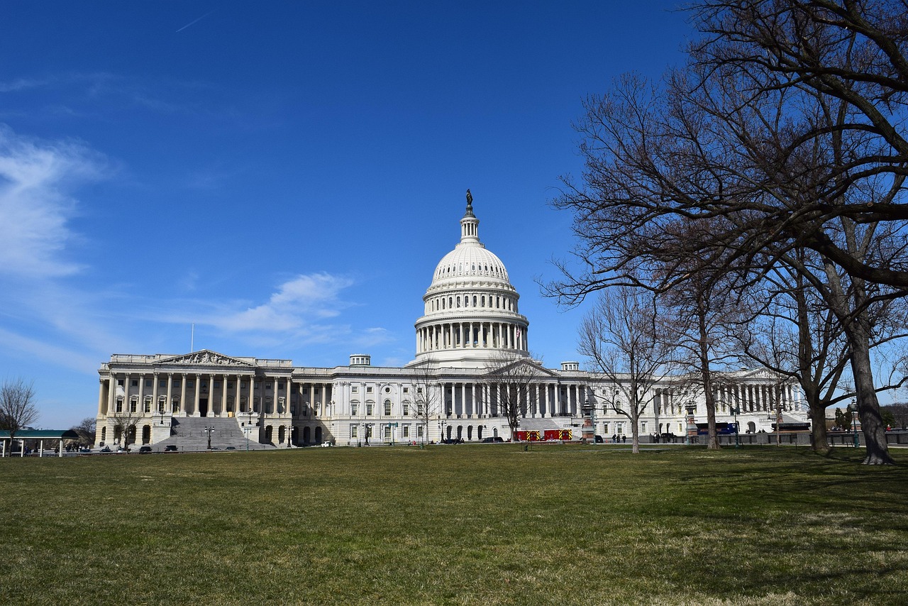 congress, architecture, building, sky, outdoors, structure, nature, politics, america, washington dc, symbol, democracy, representatives, politicians, senate, house of representatives, election, parties, legislation, neo-roman, classical, trees, blue party