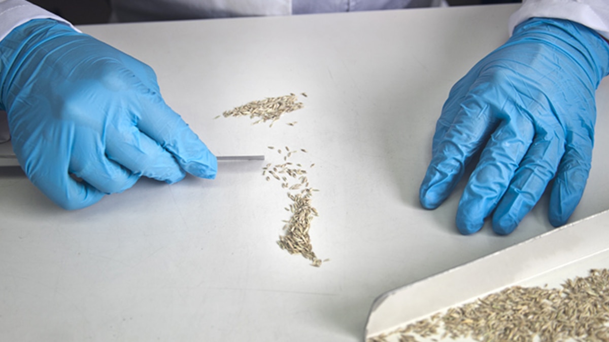 El Gobierno reestructura el INASE con el Decreto 205/2026 y suprime direcciones clave