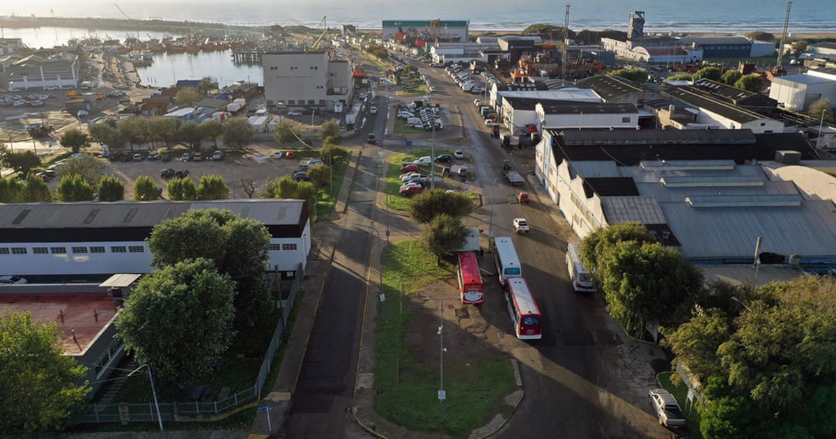 El puerto de Mar del Plata rediseña el tránsito: qué cambia y qué falta aclarar