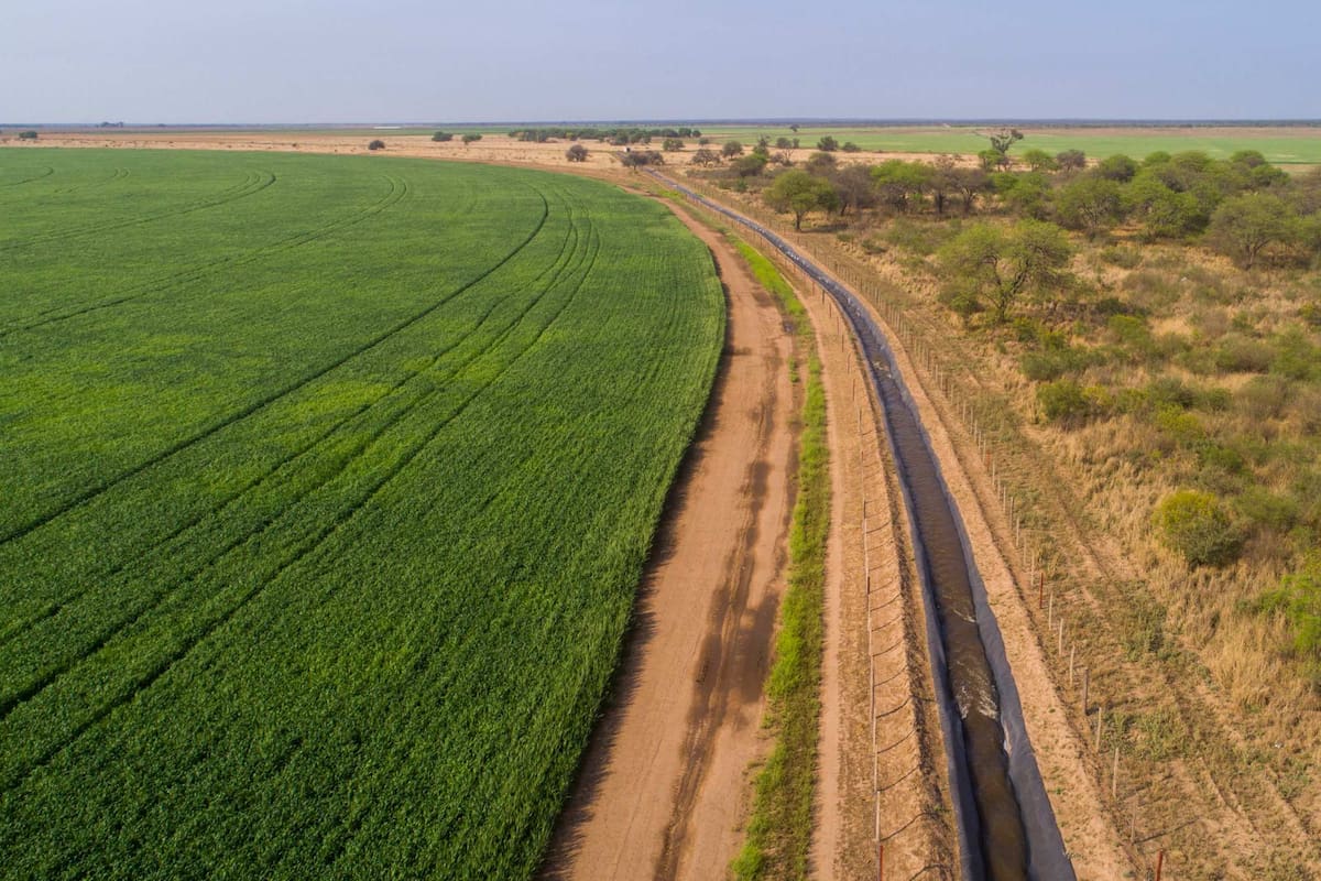 Empresa del norte gestiona 20.000 ha y combina semillas, feedlot y riego solar