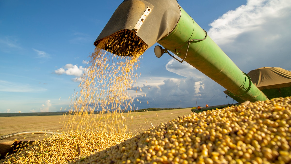 Guerra en Medio Oriente empuja la soja a su nivel más alto en 22 meses