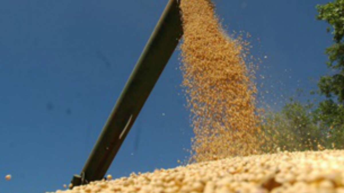 Guerra en Medio Oriente: soja volátil y la urea sube más de US$200 por tonelada