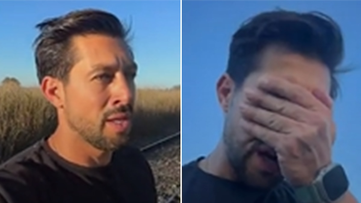 Imputaron a un hombre por la venta sin autorización de 161 bovinos en Santa Fe