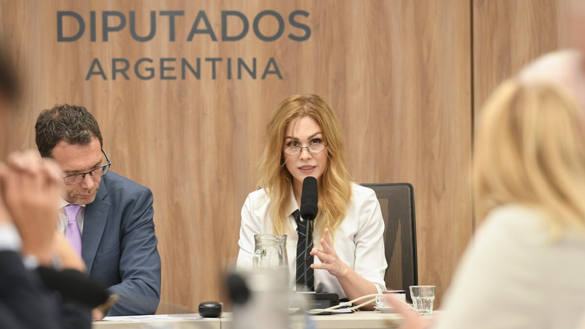 Lemoine preside la Comisión de Juicio Político con mayoría oficialista