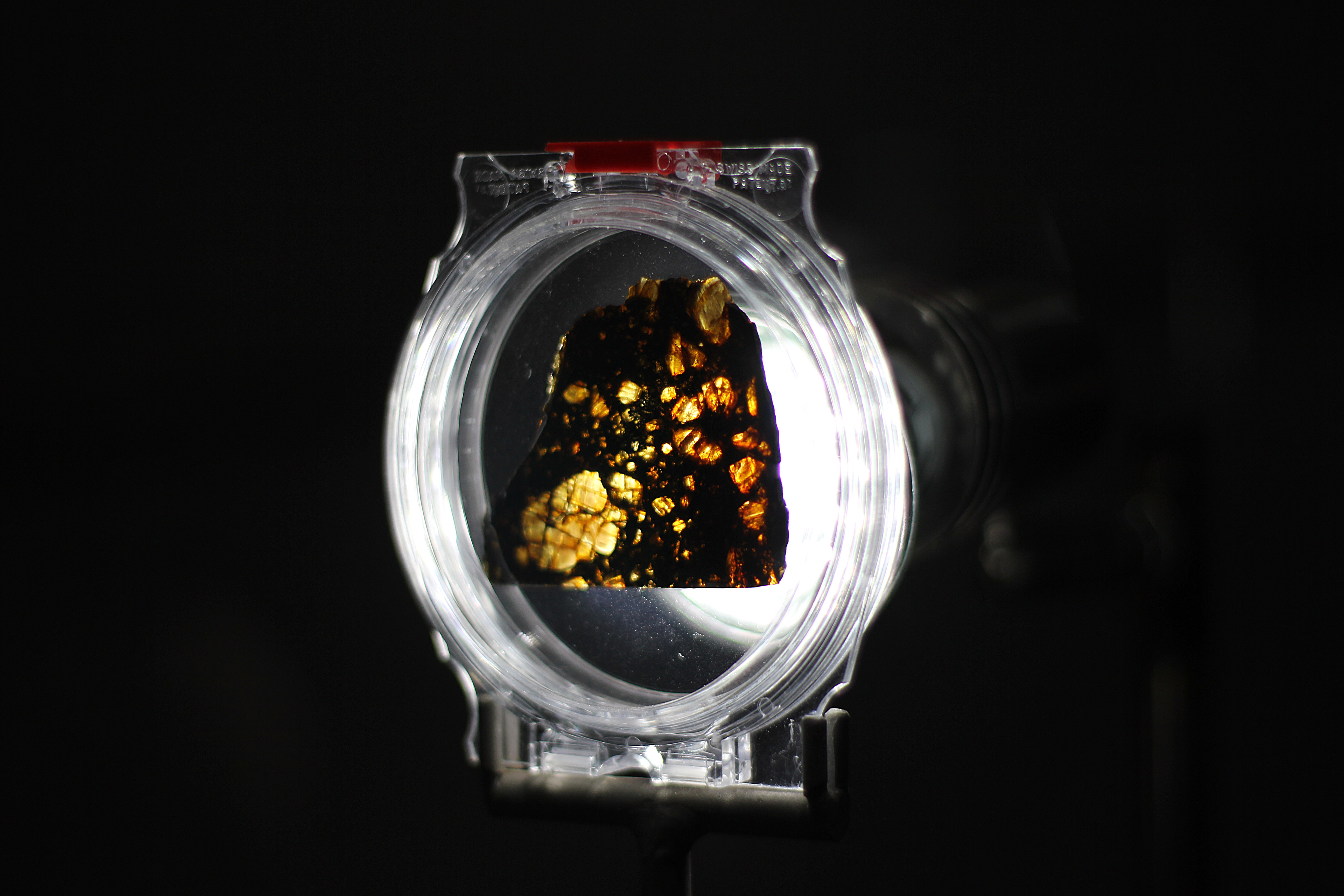 A thin slice of Vaca Muerta mesosiderite. Museo del Meteorito, San Pedro de Atacama, Chile.