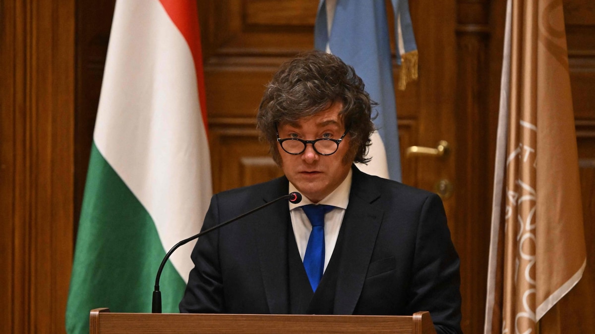 Milei: recortes, disputas y la exigencia de pruebas documentales