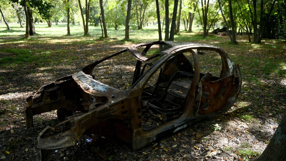 Parque Pereyra Iraola: 10.248 hectáreas entre basura, autos abandonados y falta de personal
