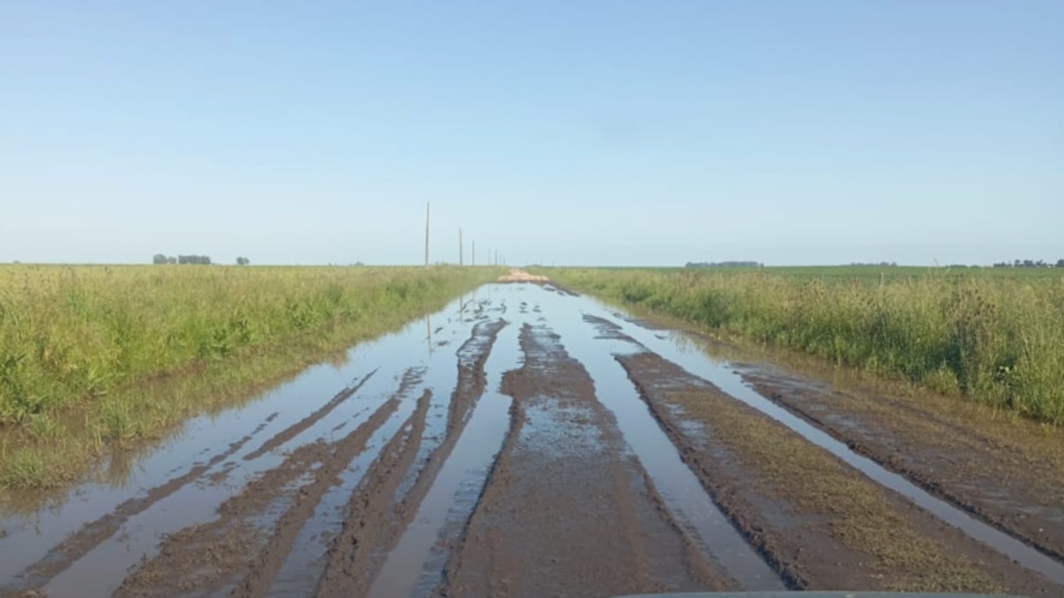 Productores de Necochea presentan amparo por la tasa de caminos rurales