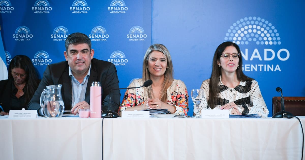 Qué cambia con la reforma sobre internaciones, justicia y evaluación de riesgo que avanza en el Senado