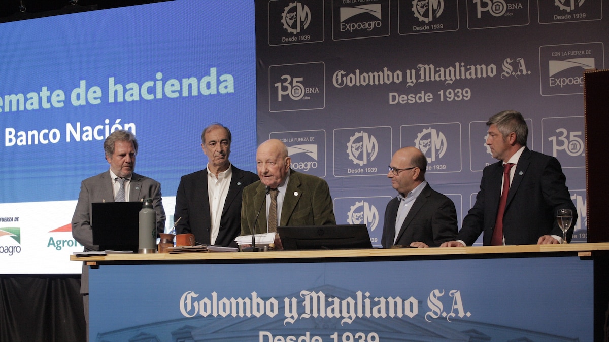 Remate en el Banco Nación: 36.600 cabezas y precios firmes