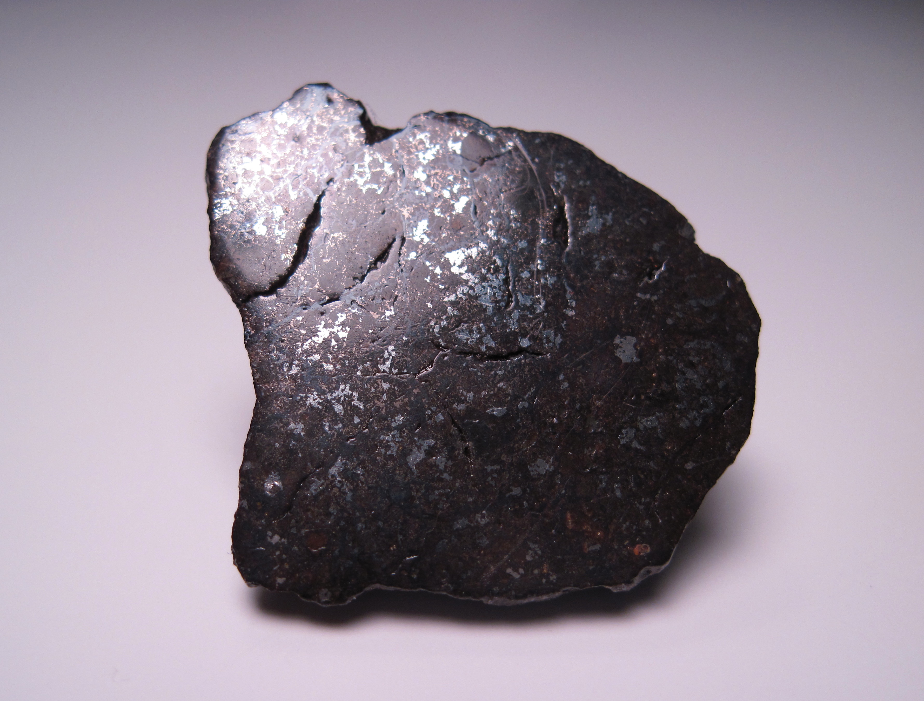Vaca Muerta is a mesosiderite (A-1) found in the Atacama desert of Chile in 1861. This nice 9.51g end cut is of American Meteorite Laboratory provenance.